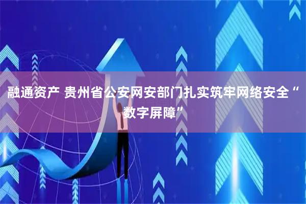 融通资产 贵州省公安网安部门扎实筑牢网络安全“数字屏障”