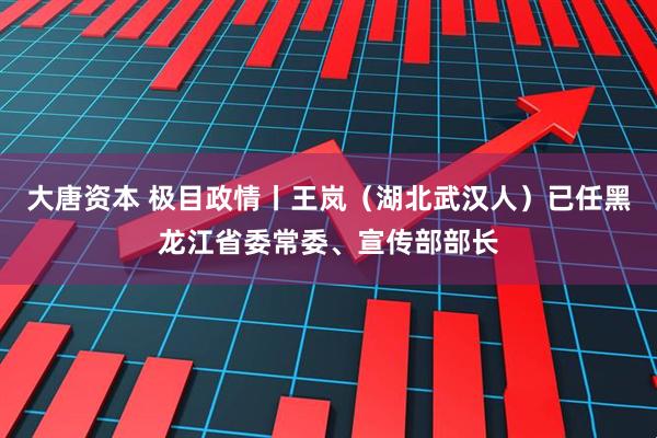 大唐资本 极目政情丨王岚（湖北武汉人）已任黑龙江省委常委、宣传部部长