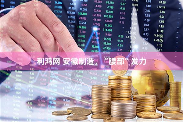 利鸿网 安徽制造，“腰部”发力