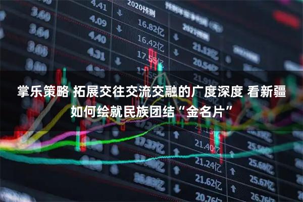 掌乐策略 拓展交往交流交融的广度深度 看新疆如何绘就民族团结“金名片”