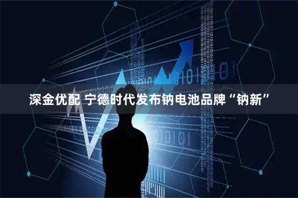 深金优配 宁德时代发布钠电池品牌“钠新”