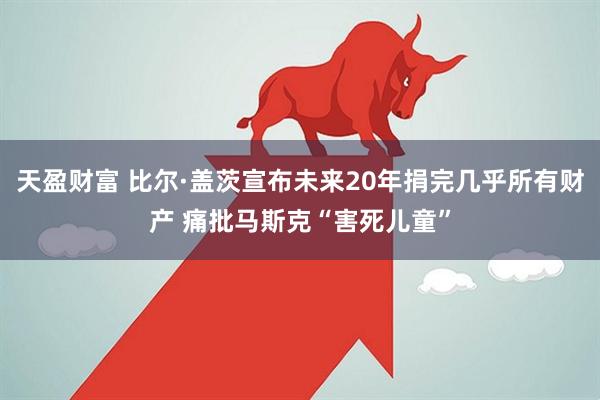 天盈财富 比尔·盖茨宣布未来20年捐完几乎所有财产 痛批马斯克“害死儿童”