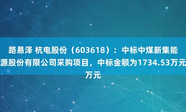 路易泽 杭电股份（603618）：中标中煤新集能源股份有限公司采购项目，中标金额为1734.53万元