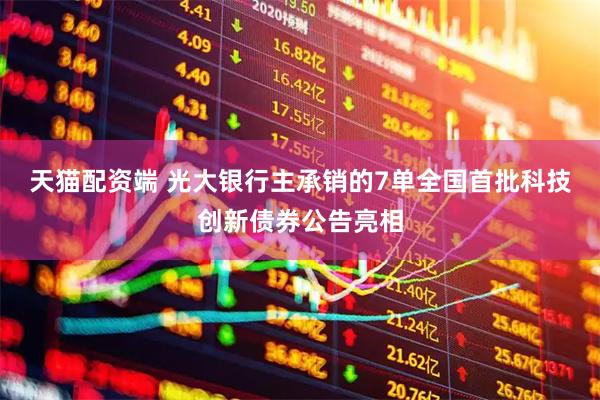 天猫配资端 光大银行主承销的7单全国首批科技创新债券公告亮相