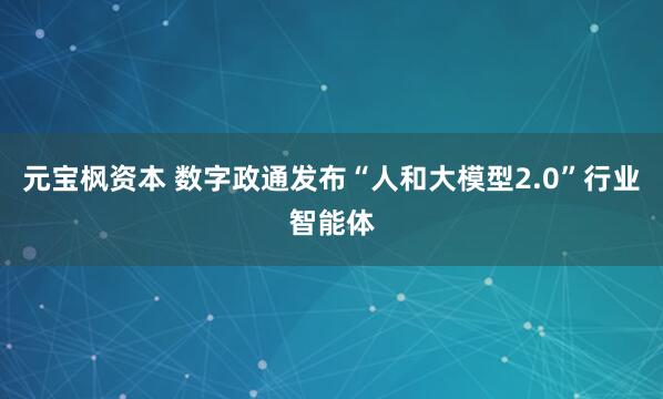 元宝枫资本 数字政通发布“人和大模型2.0”行业智能体