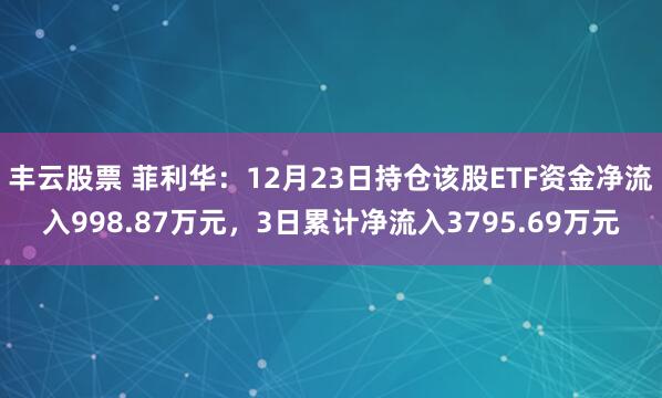丰云股票 菲利华：12月23日持仓该股ETF资金净流入998.87万元，3日累计净流入3795.69万元