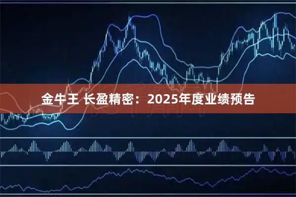 金牛王 长盈精密：2025年度业绩预告