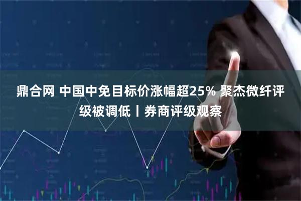 鼎合网 中国中免目标价涨幅超25% 聚杰微纤评级被调低丨券商评级观察